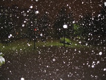 全世界都下雪