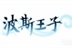 波斯王子 13177