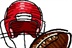 National Football League-橄榄球。