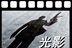 光影海报收藏