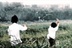 时光乱逛 14375