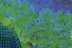 梁朝伟的森林（Mti<wbr/>me）