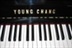 The Piano 10502