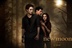 Twilight Saga 14578
