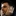 图拉