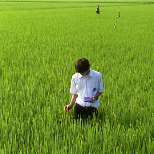 关于莉莉周的一切