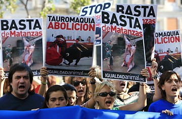Bullfights