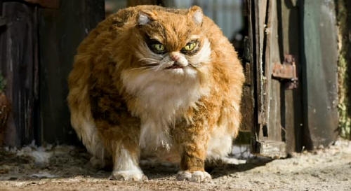 彼得与狼(Peter & the Wolf):摆脱束缚 回归野性