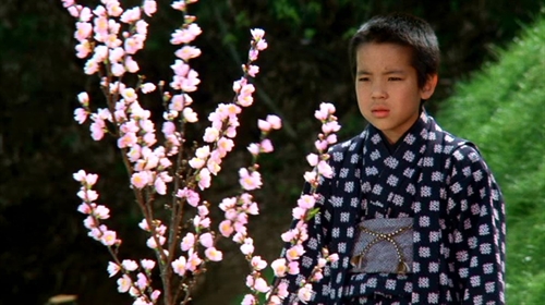 黑泽明导演作品全精读:《梦》– Mtime时光网