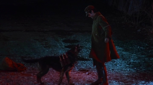 黑泽明导演作品全精读:《梦》– Mtime时光网