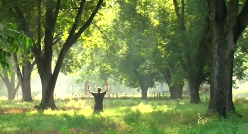 重温《面对巨人》 传教士 电影