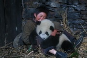 熊猫回家路 Touch of the Panda(2009) 剧照 #02 