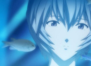 新世纪福音战士二连庄 西川美和新片打上榜