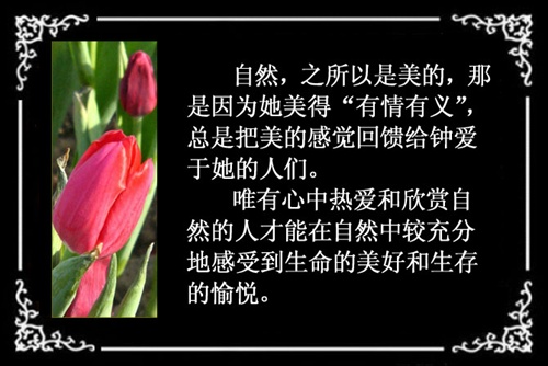 感悟自然之美(原创散文\/图片) 感动你我的美丽