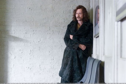 小天狼星是Gray Oldman演的?