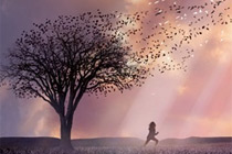 造梦天堂：幻想世界的16宗最