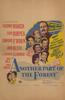 在森林的另一端/Another Part of the Forest(1948)