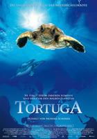 海龟：奇妙之旅Turtle: The Incredible Journey (2009)