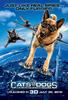 猫狗大战2/Cats & Dogs: The Revenge of Kitty Galore(2010)