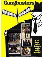 The North Avenue Irregulars (1979)