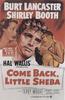 兰闺春怨/Come Back, Little Sheba(1952)