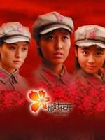 那时花开Eternal Beauty (2006)