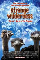 陌生荒漠Strange Wilderness (2008)