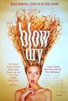 爱情洗剪吹Blow Dry (2001)