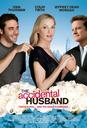 意外之夫/The Accidental Husband(2008)