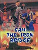 武状元铁桥三(1993)