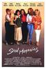 钢木兰花/Steel Magnolias
