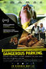 危险的停车场/Dangerous Parking(2007)