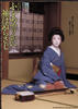 电影歌舞伎：花护佳人袖不沾雨/The Cloistered Flower of Yamato Protects Her Kimono Sleeve from the Alien Rain(2008)