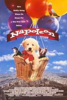 拿破仑流浪记Napoleon (1995)