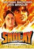 复仇的火焰/Sholay