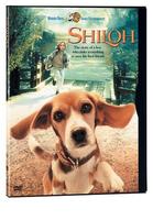它不重，它是我宝贝Shiloh (1996)