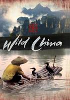 美丽中国Wild China (2008)