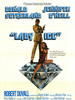 Lady Ice(1973)