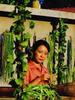 绿野艳阳红(2005)