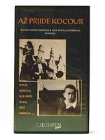 一天一只猫Az prijde kocour (1963)