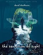 內心的幽灵The Sensation of Sight (2006)