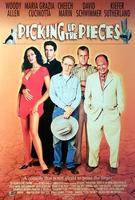 雷霆穿梭人Picking Up the Pieces (2000)
