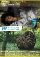 隼Toothbrush (2005)