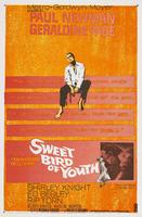 浓爱痴情Sweet Bird of Youth (1962)