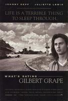 不一样的天空What's Eating Gilbert Grape (1993)