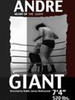 安德烈：巨人之心/Andre: Heart of the Giant(2007)
