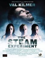 蒸汽实验The Steam Experiment (2009)