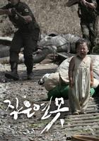 小小莲池The Bridge at Nogunri (2007)