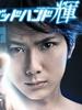 天生妙手(2009)