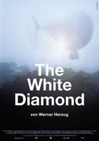 白钻石The White Diamond (2004)
